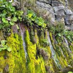 Открытие красоты и тайн островов Итуруп и Шикотан: путешествие в дивный мир Курильской гряды